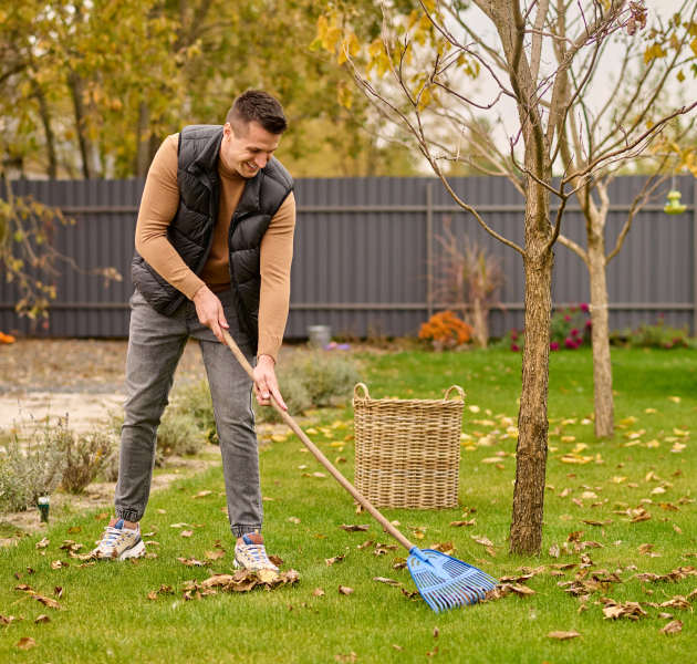 Joyful man shoveling leaves with garden tools Joyful man shoveling leaves with garden tools<br />
