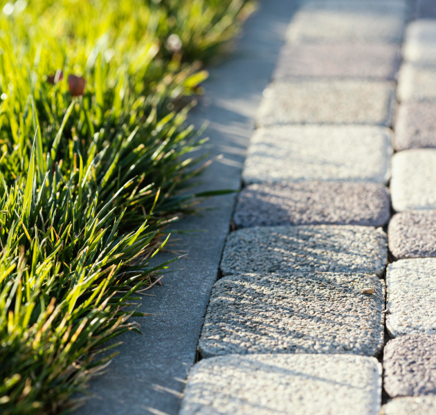 Natural grass close up