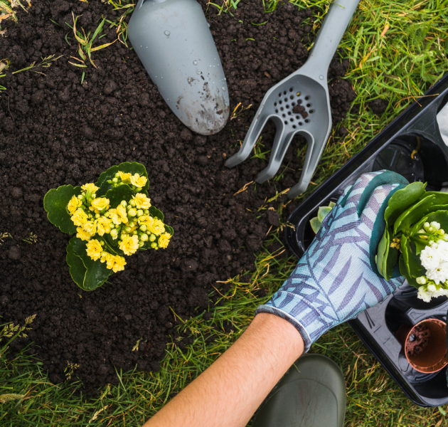 Overhead view of hand holding small fresh potted plant A woman operating a heavy duty leaf blower<br />